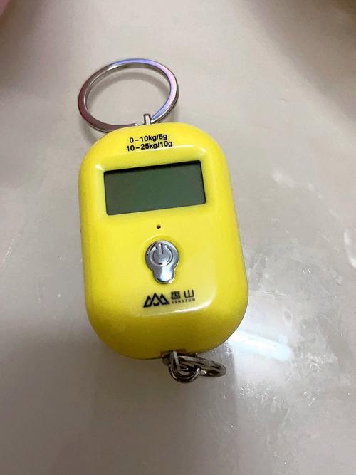 便携式手提电子称品牌哪个好？-图2
