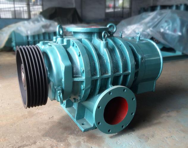 德国罗茨鼓风机有何独特优势？-图3