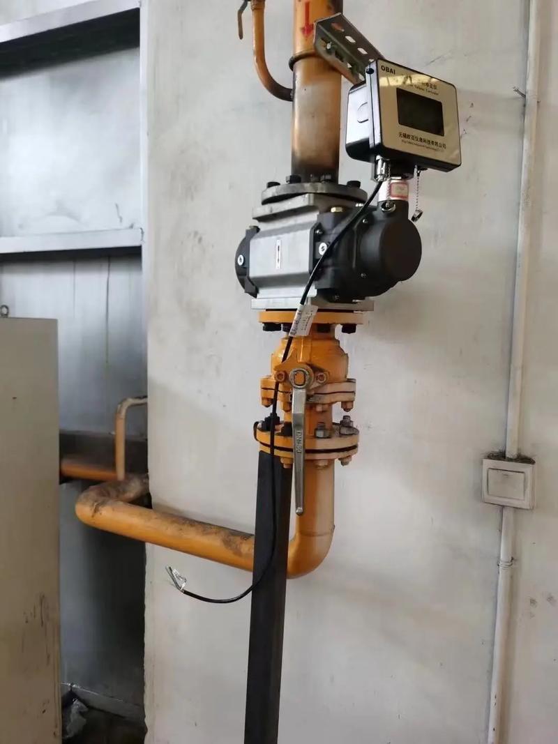 国外燃气流量计品牌有哪些优选？-图1