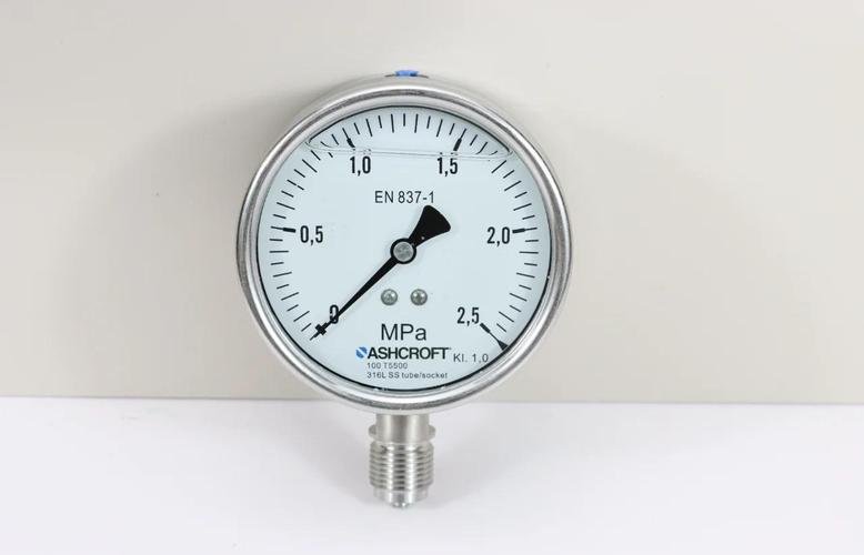 液压压力表什么品牌好-图1 液压压力表什么品牌好-图1