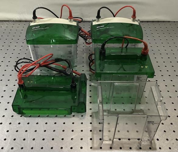 电泳仪有哪些国外品牌-图2 电泳仪有哪些国外品牌-图2