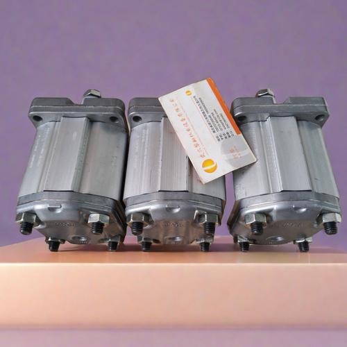 进口齿轮尿计量泵品牌怎么选？-图2