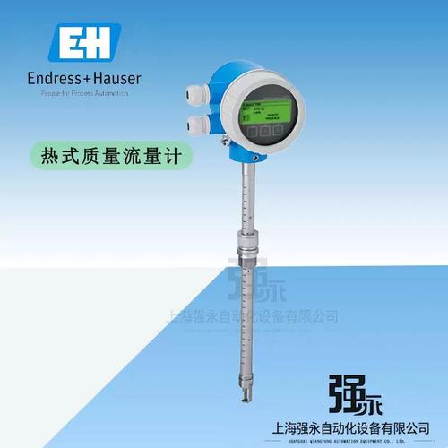 E H质量流量计品牌哪家好?-图1 E H质量流量计品牌哪家好?-图1