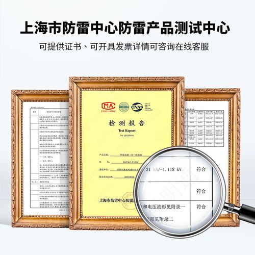 摄像机信号防雷器品牌怎么选？-图3