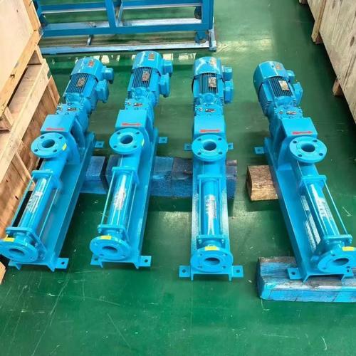 上海G型单螺杆泵品牌有哪些？-图1