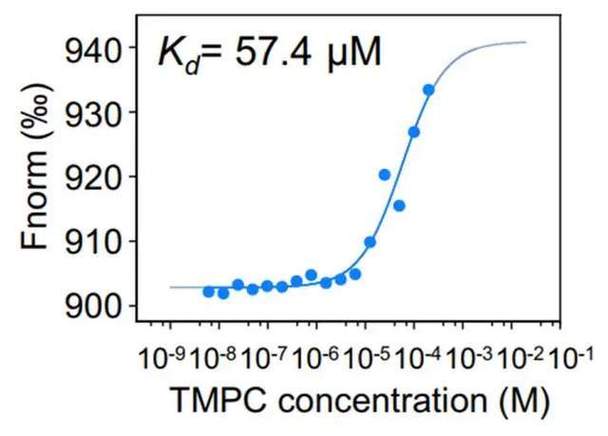 mstar技术支持如何高效解决问题?-图1 mstar技术支持如何高效解决问题?-图1