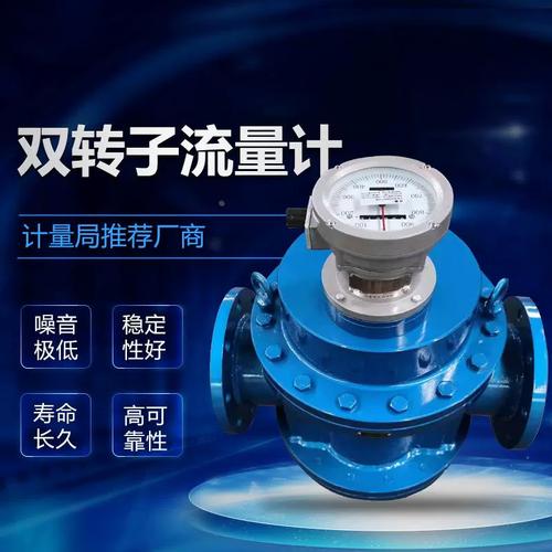 双转子流量计品牌哪家强？-图1