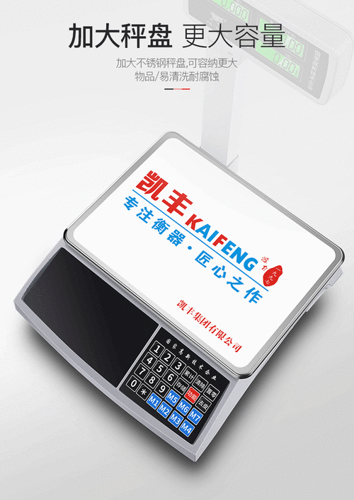 国内电子秤品牌怎么选？-图1