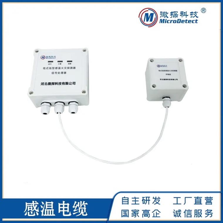 线缆式温度传感器品牌怎么选？-图2