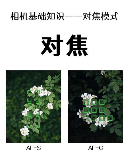 pdaf相位对焦技术如何实现快速对焦?-图2 pdaf相位对焦技术如何实现快速对焦?-图2