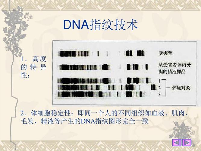 光学与生物指纹技术如何融合应用？-图3