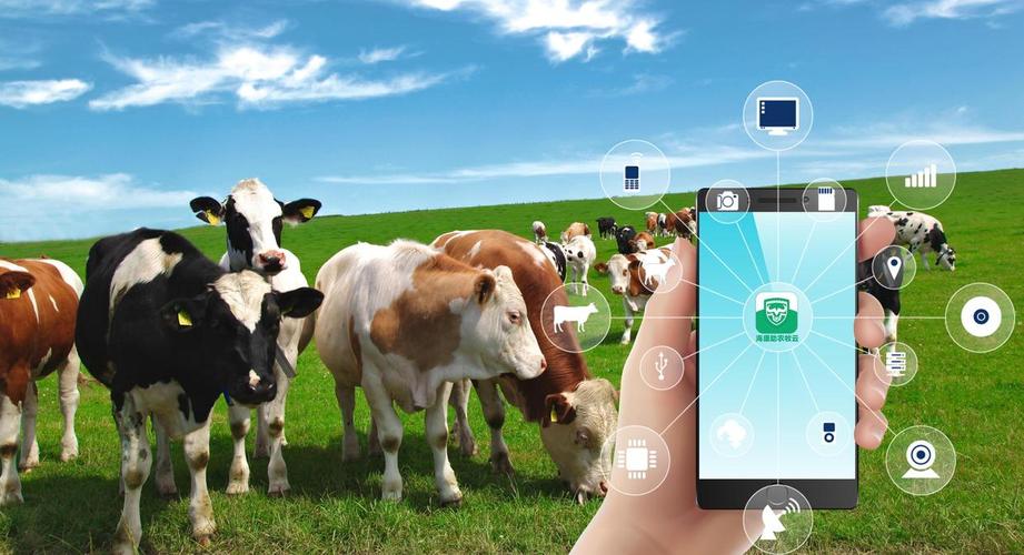 RFID技术应用表现具体体现在哪些方面？-图3