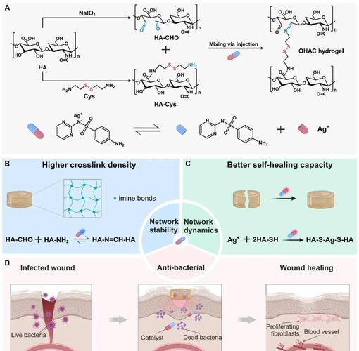 FBMC技术具体包含哪几种？-图2