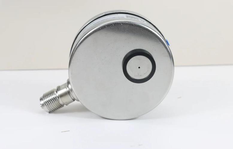 进口测压表品牌有哪些？-图1