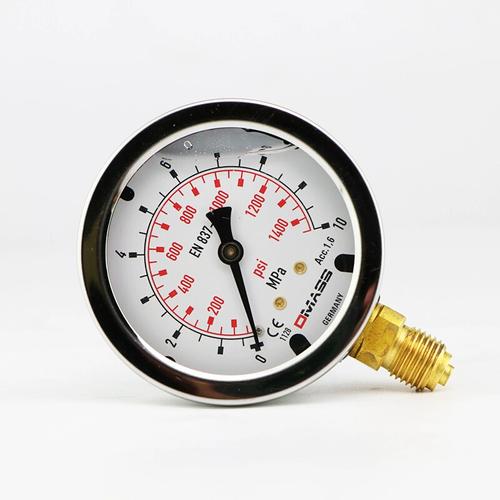 进口测压表品牌有哪些？-图2