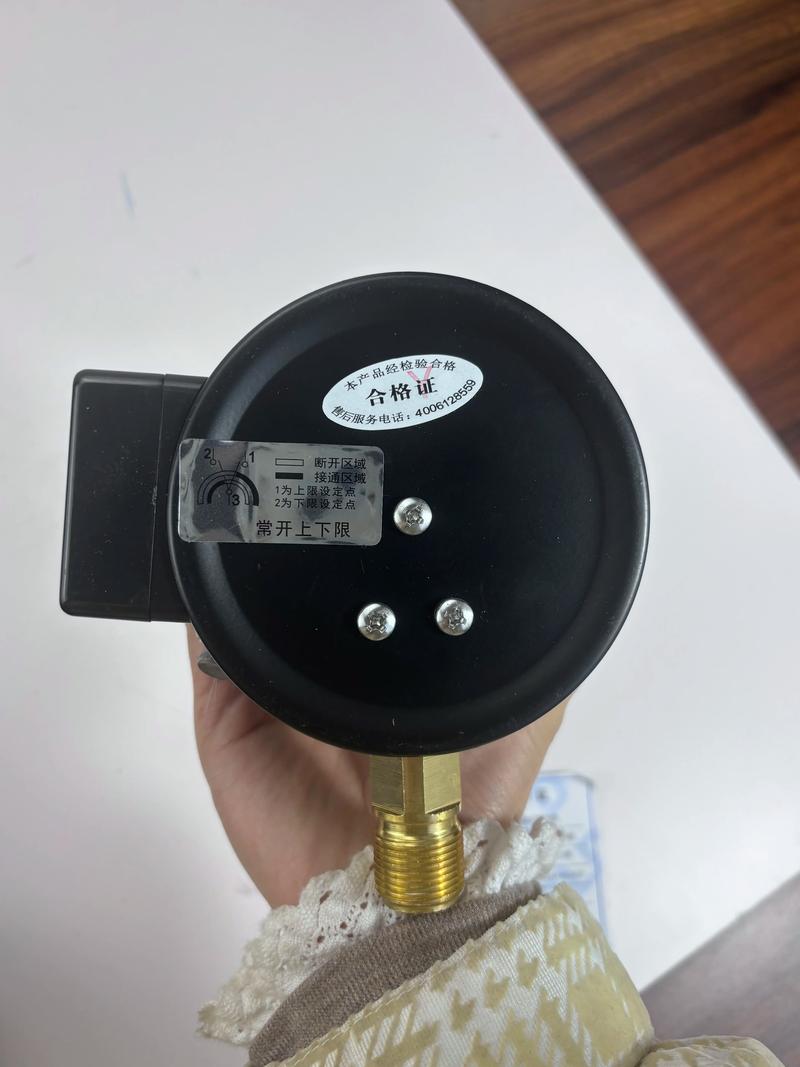 进口测压表品牌有哪些？-图3