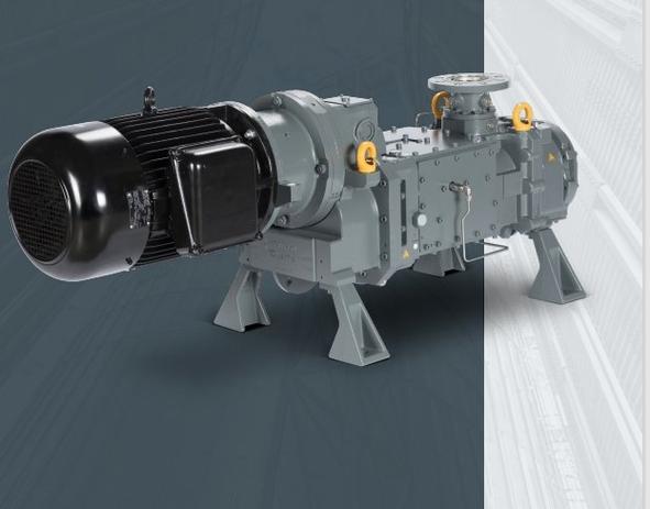 进口螺杆泵哪个品牌好-图2 进口螺杆泵哪个品牌好-图2