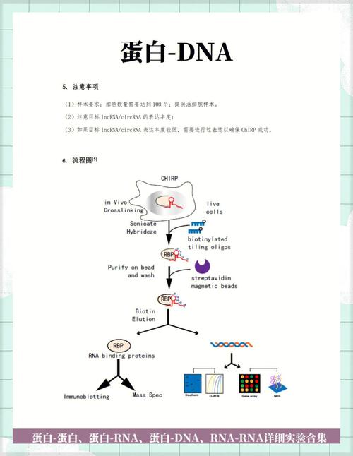 Chirp-ms技术是什么？原理优势如何？-图2