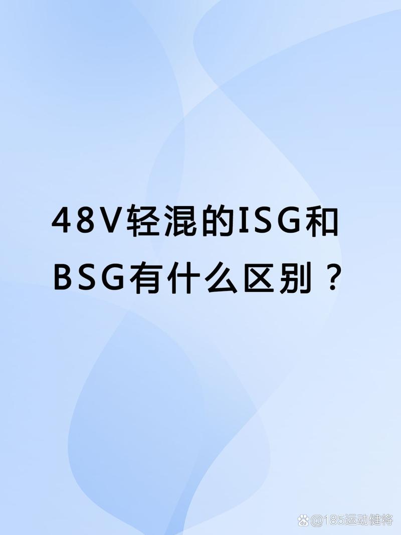 isg bsg 技术-图3