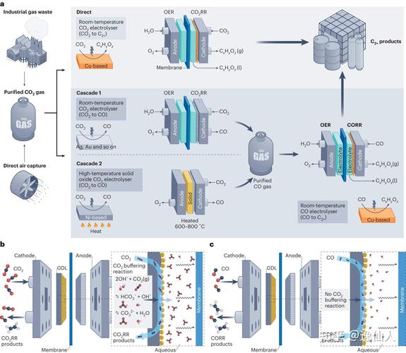 Cortex技术教程该怎么学？-图3