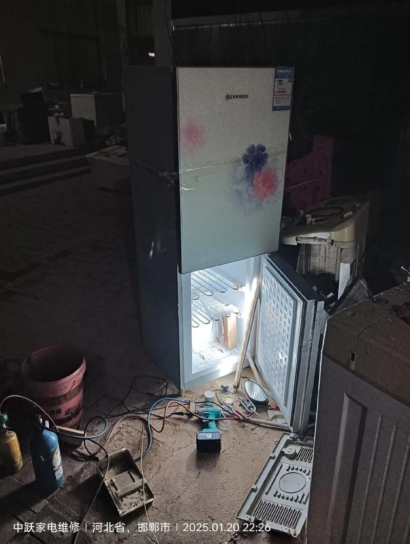 家用冰箱 维修 冷藏室-图1