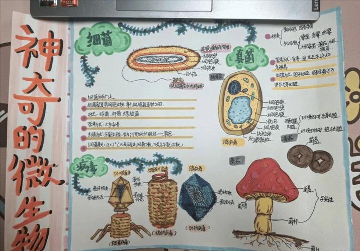 生物识别技术有哪些核心特点？-图3