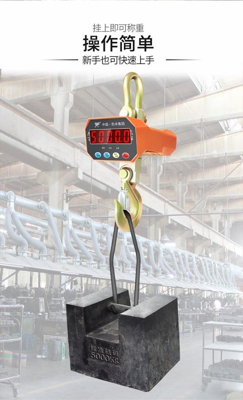 电子吊秤哪个品牌的好-图1 电子吊秤哪个品牌的好-图1