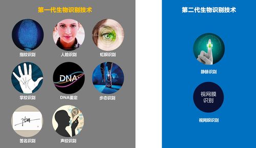 生物特征识别技术发展现状如何?-图2 生物特征识别技术发展现状如何?-图2