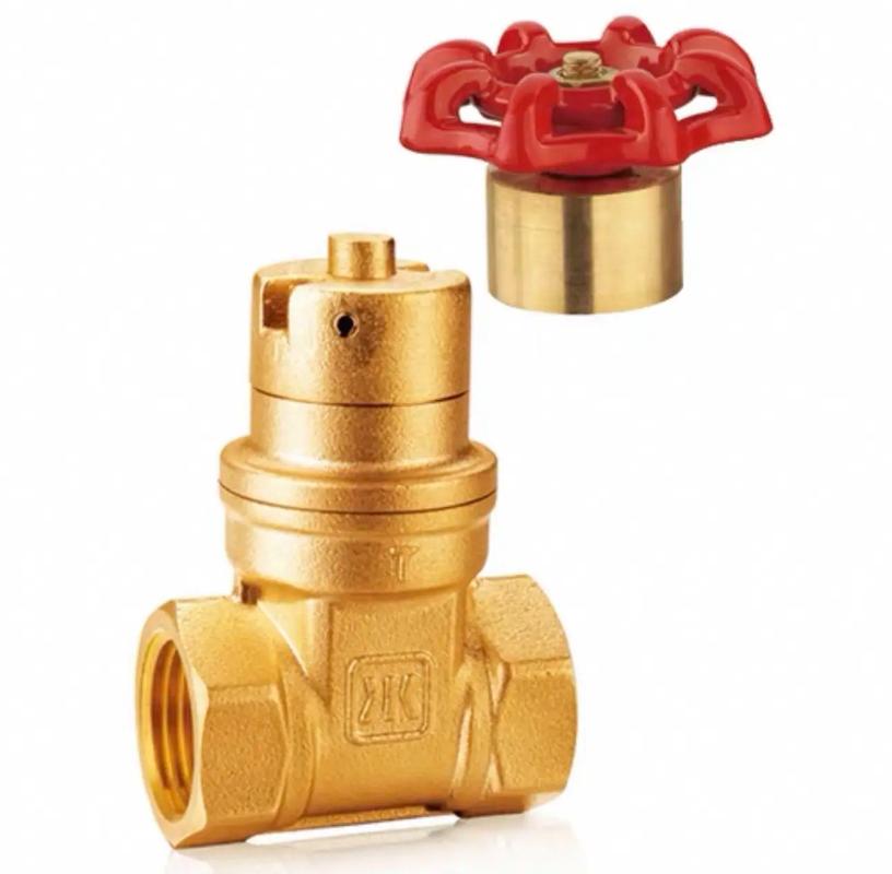 1NT是哪个阀门品牌？-图1