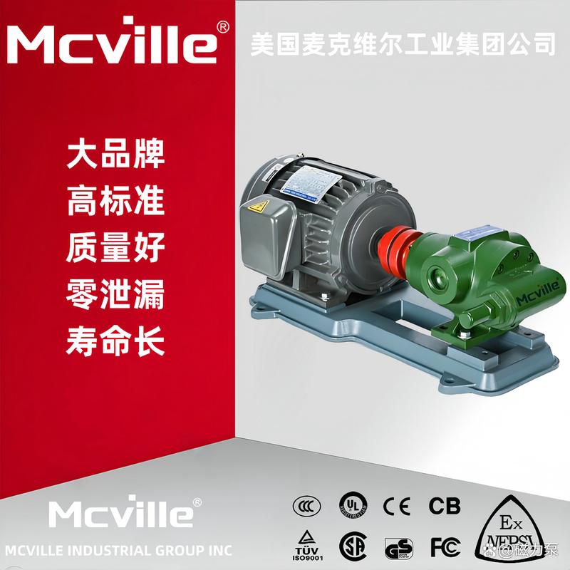 高温齿轮泵品牌哪个好?-图1 高温齿轮泵品牌哪个好?-图1