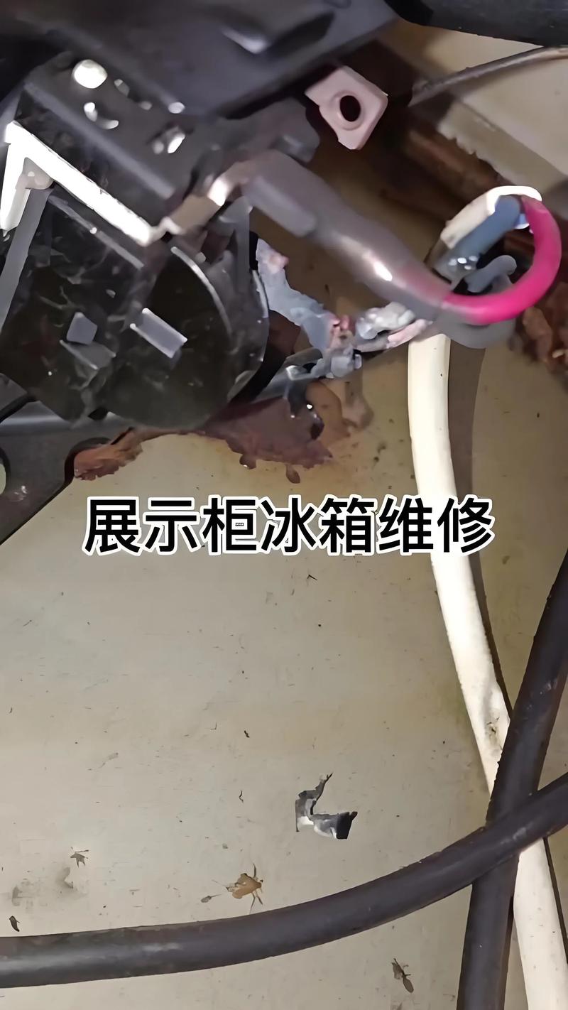 冰箱r600的维修视频-图1 冰箱r600的维修视频-图1