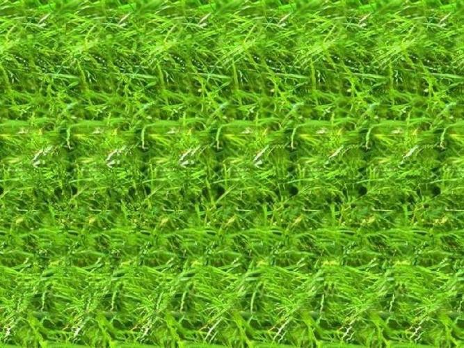 裸眼3D技术真的成熟了吗?-图2 裸眼3D技术真的成熟了吗?-图2