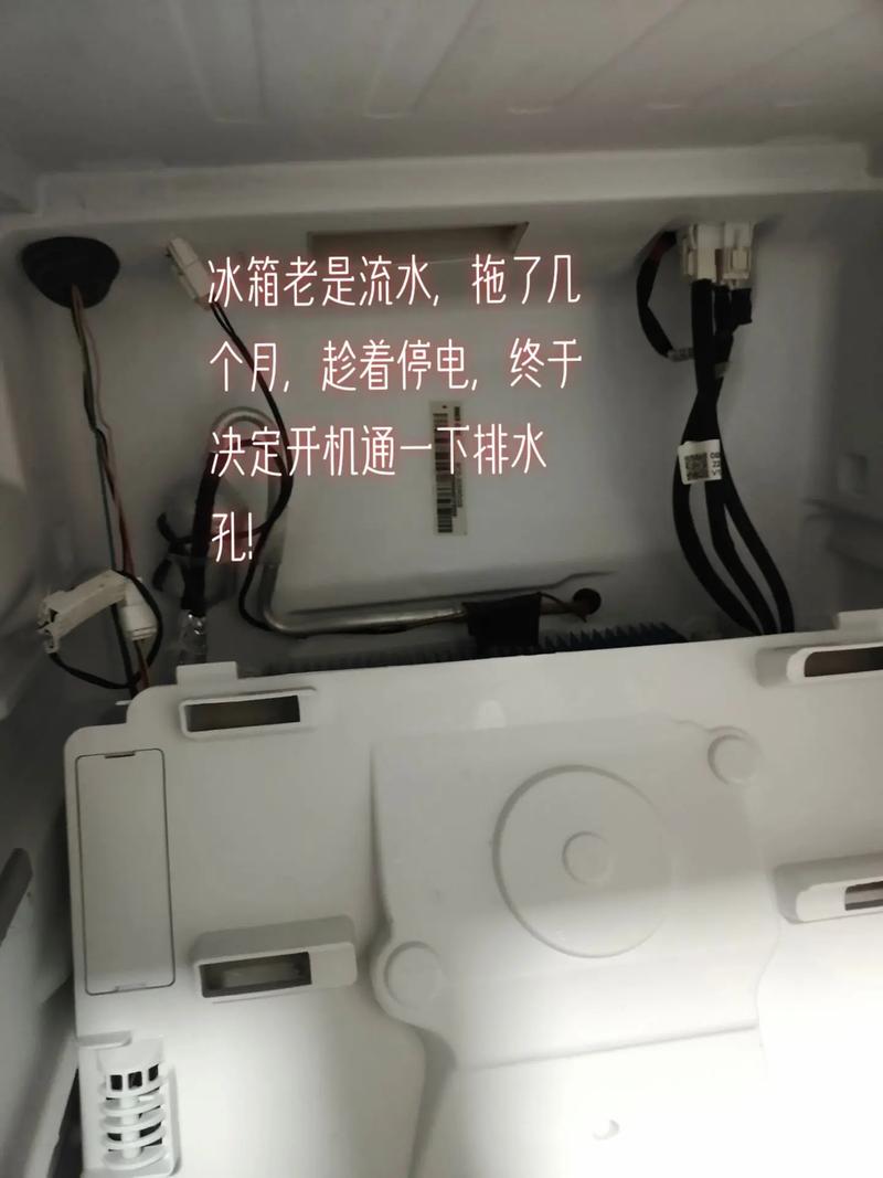 海尔 冰箱 维修 教程-图1