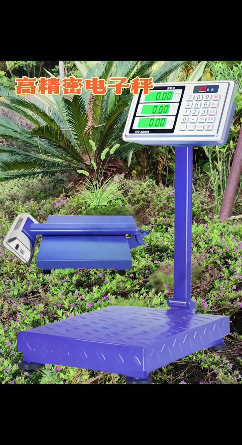 电子秤品牌哪个最好？-图2