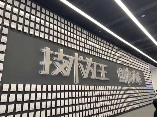 中国人脸识别技术公司，技术领先还是隐私隐忧？-图3