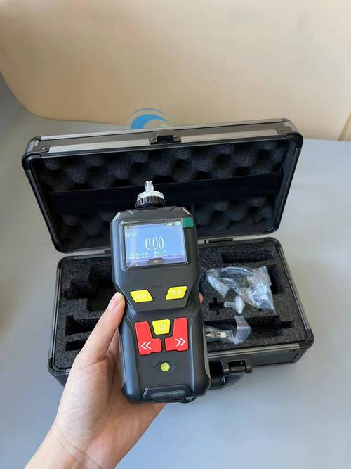 中国气体检测仪器品牌哪家强？-图2