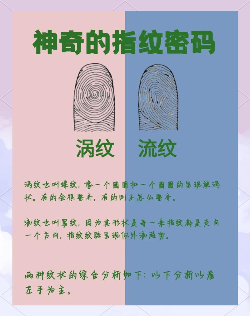 指纹识别属于什么技术-图1