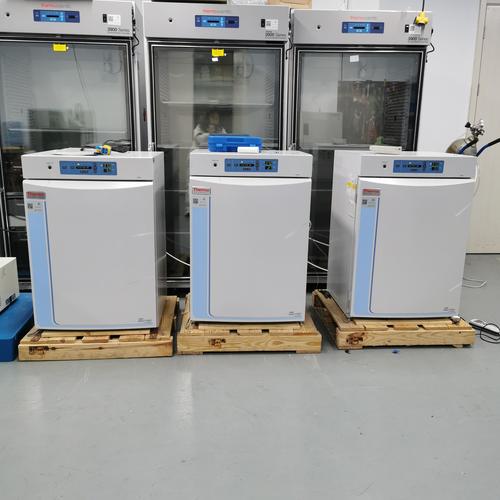 细菌培养箱品牌怎么选？-图1