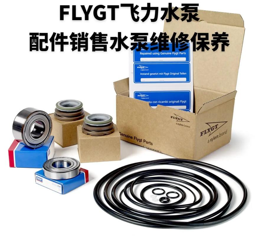 飞力泵是哪个国家的品牌？-图2