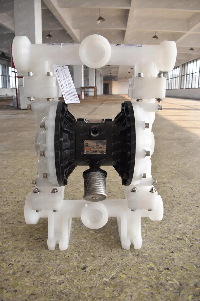 进口隔膜泵品牌有哪些？-图1