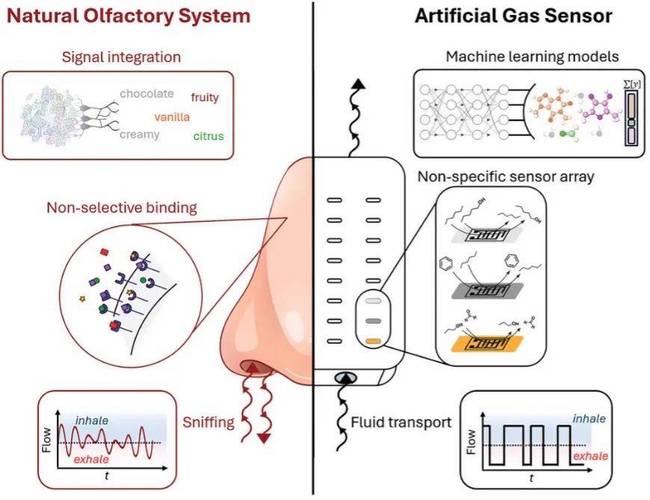 电子鼻系统原理与技术如何实现？-图2