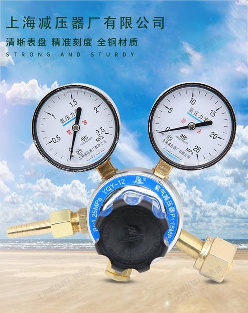 氧气减压阀品牌有哪些？-图3