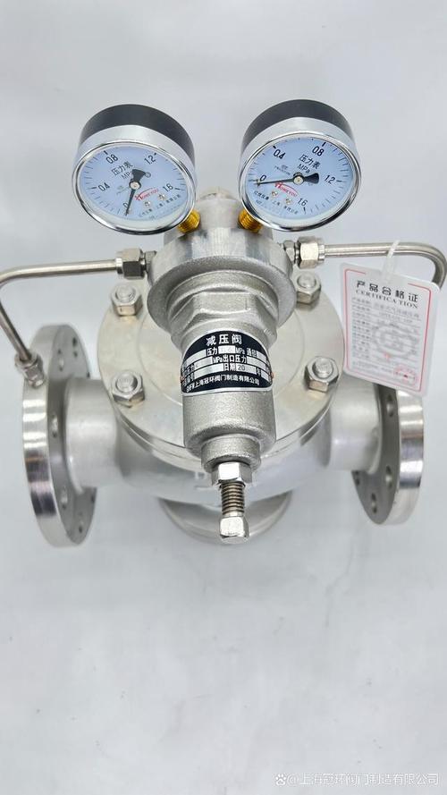氧气减压阀品牌有哪些？-图2